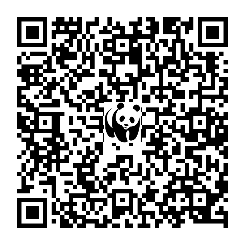 Scan deze QR-code om te doneren (vernieuw de pagina als je geen QR-code ziet)