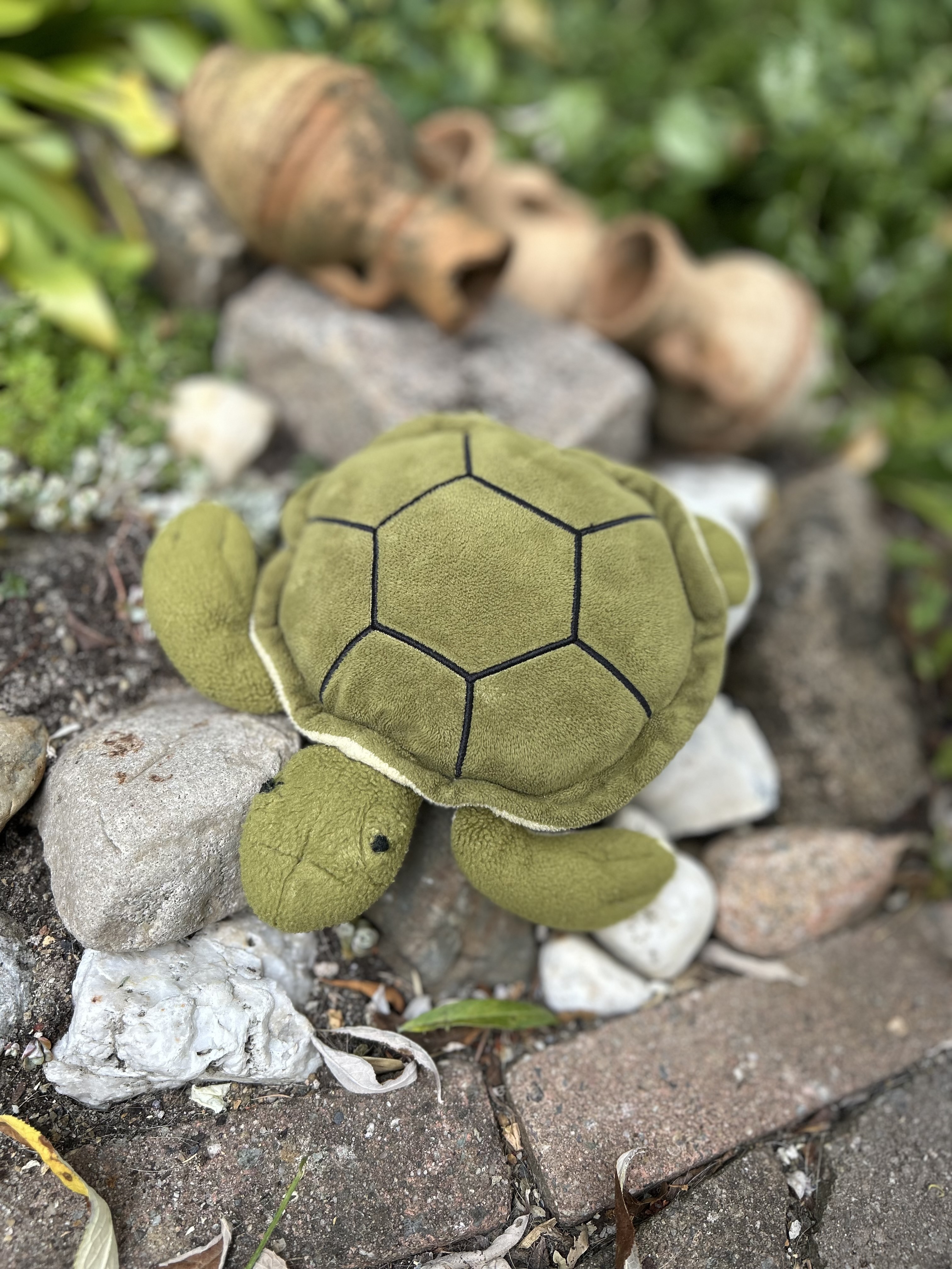 Schildpadden actie Denim