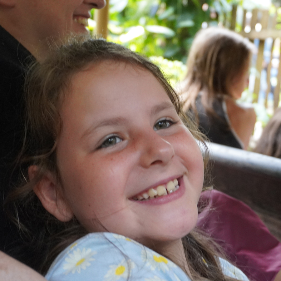 Help de schildpadjes