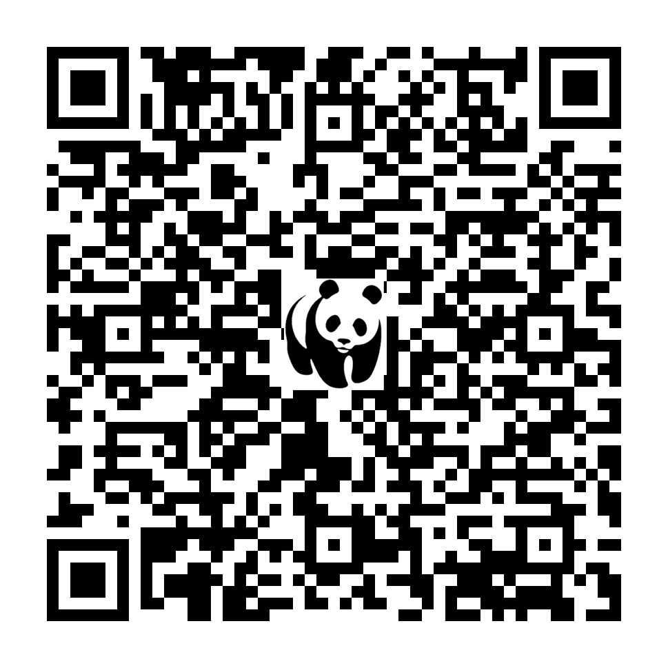 Scan deze QR-code om te doneren (vernieuw de pagina als je geen QR-code ziet)