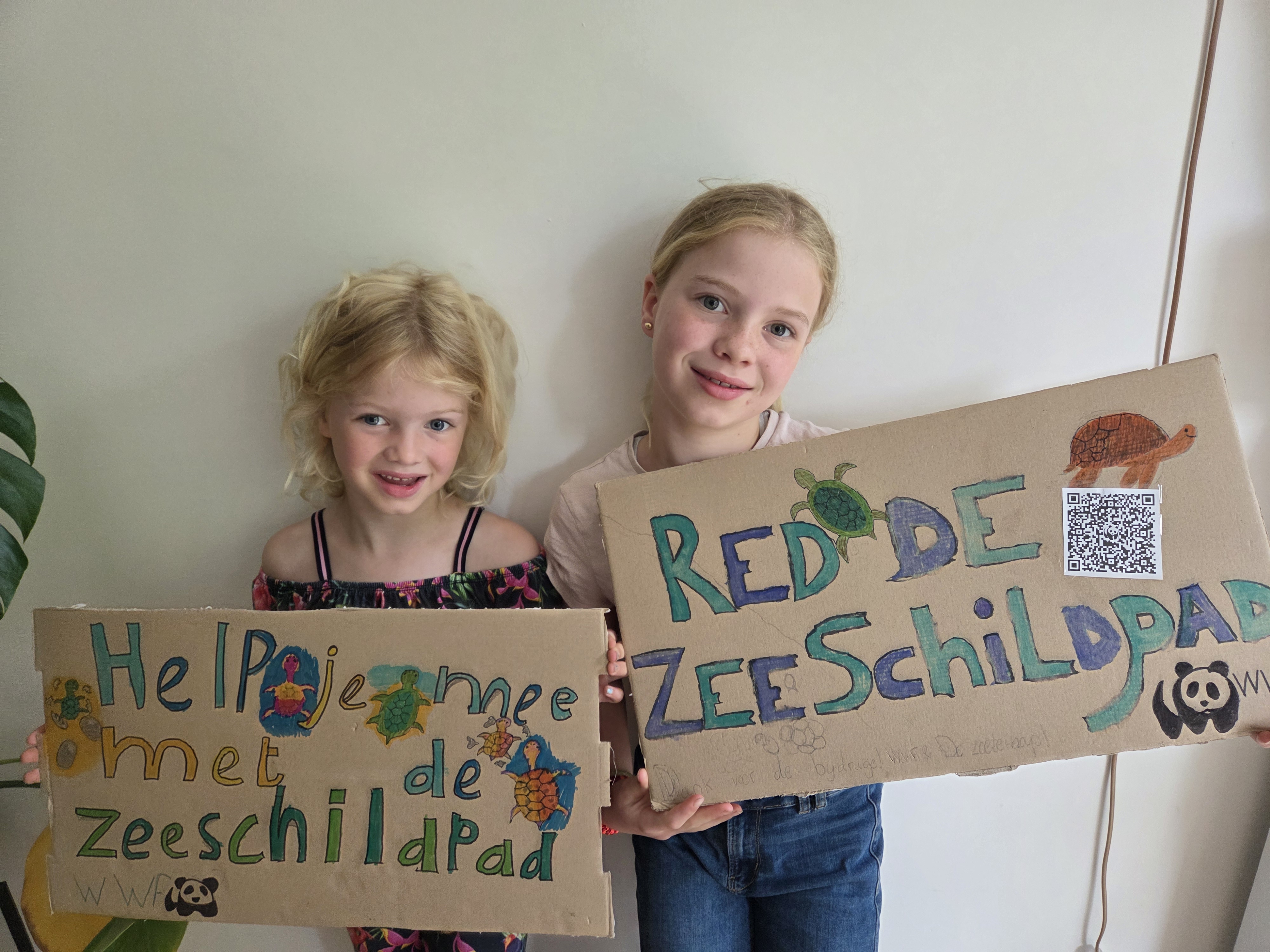 Koeken voor zeeschildpad