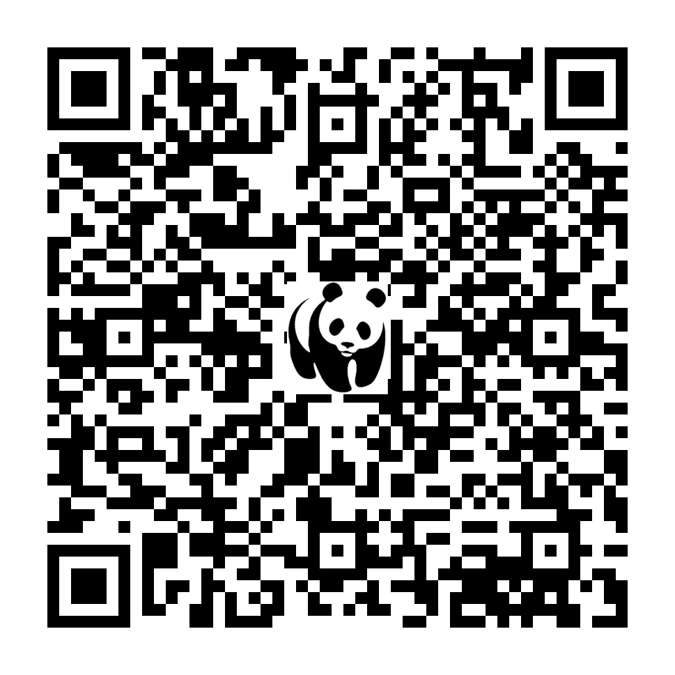 Scan deze QR-code om te doneren (vernieuw de pagina als je geen QR-code ziet)