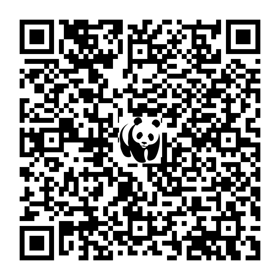 Scan deze QR-code om te doneren (vernieuw de pagina als je geen QR-code ziet)