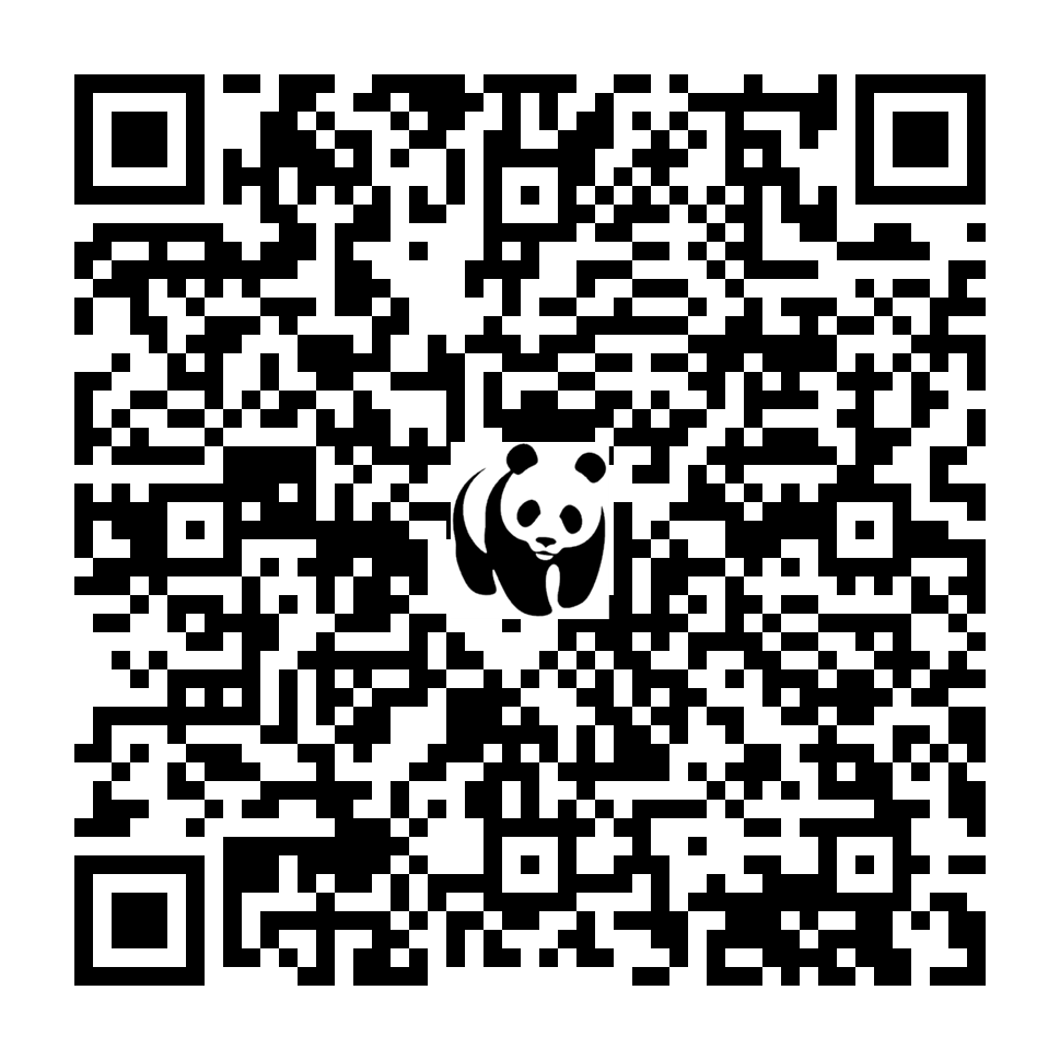 Scan deze QR-code om te doneren (vernieuw de pagina als je geen QR-code ziet)