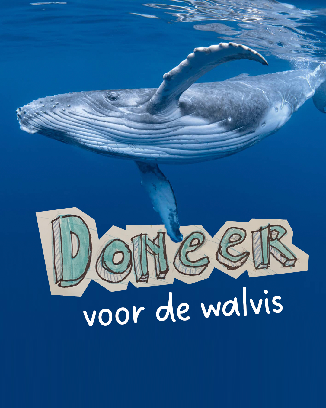 Schone oceaan voor walvis