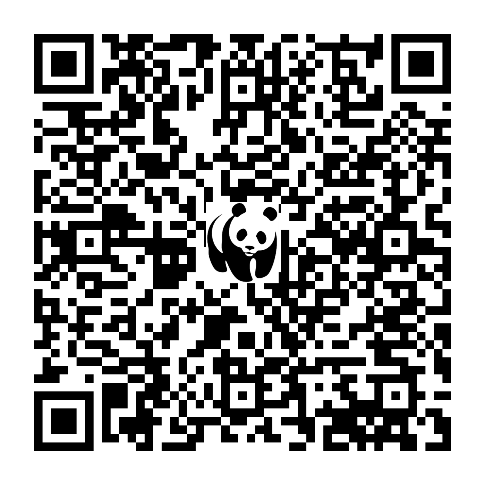 Scan deze QR-code om te doneren (vernieuw de pagina als je geen QR-code ziet)