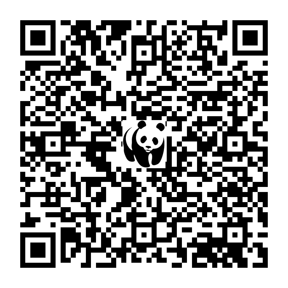 Scan deze QR-code om te doneren (vernieuw de pagina als je geen QR-code ziet)