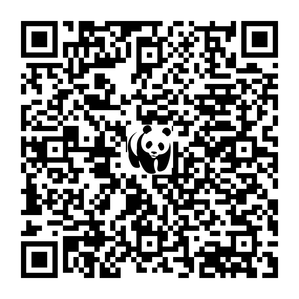 Scan deze QR-code om te doneren (vernieuw de pagina als je geen QR-code ziet)