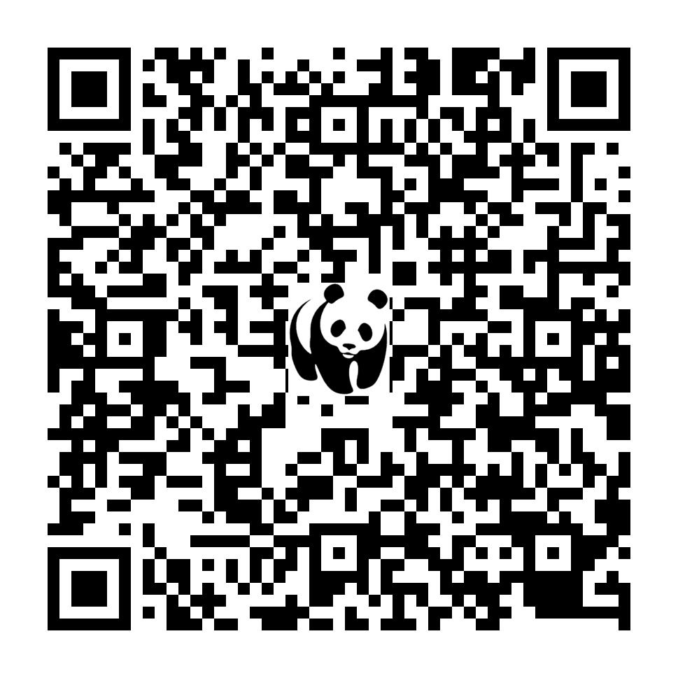 Scan deze QR-code om te doneren (vernieuw de pagina als je geen QR-code ziet)