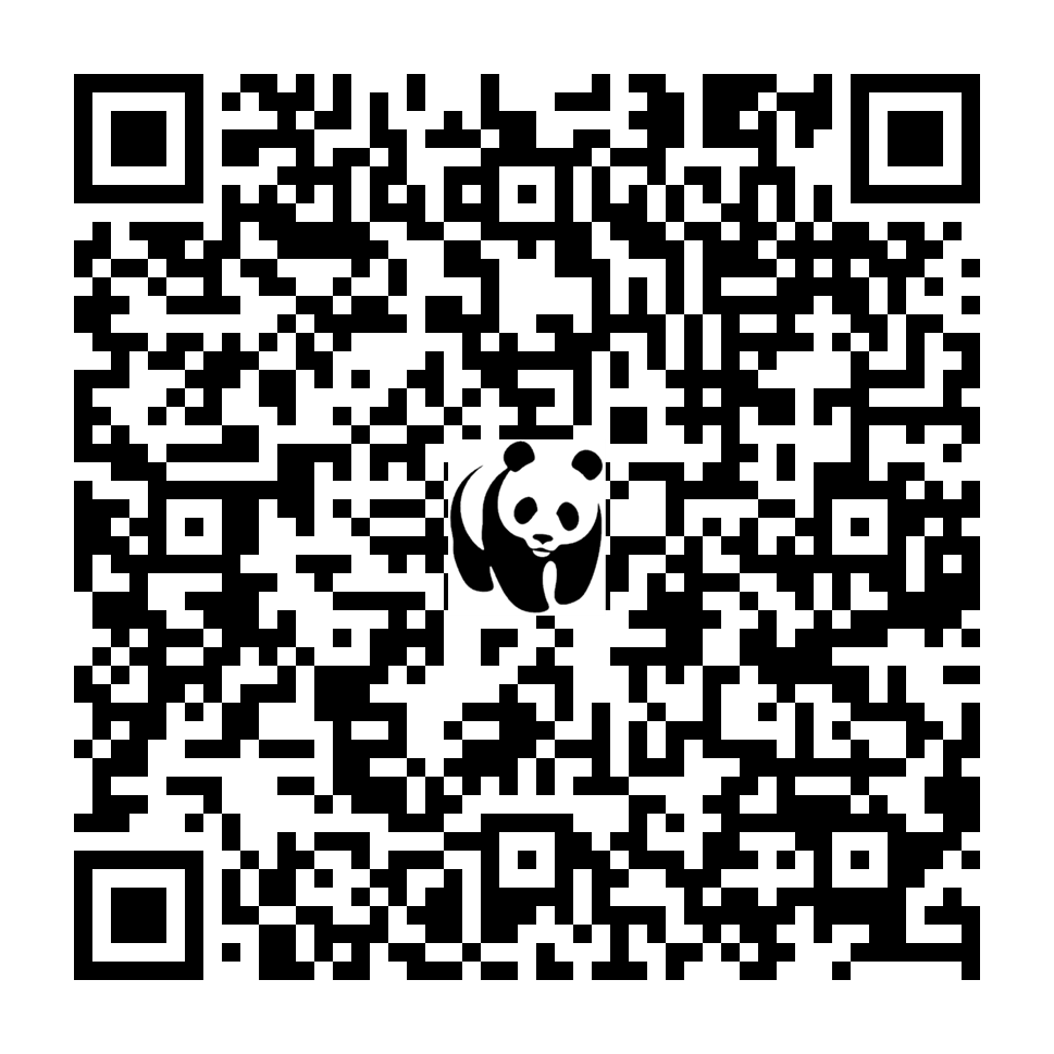 Scan deze QR-code om te doneren (vernieuw de pagina als je geen QR-code ziet)