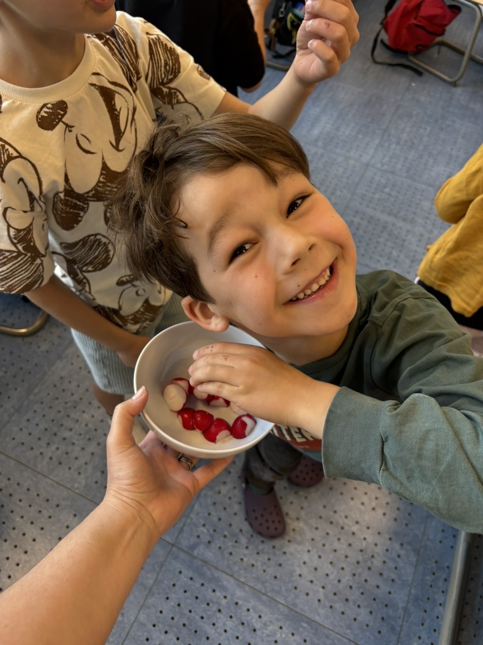 Schildpad veilig aan zee