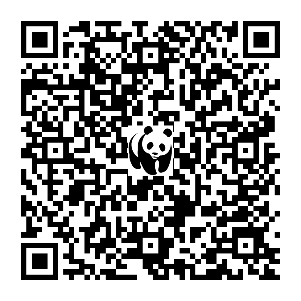 Scan deze QR-code om te doneren (vernieuw de pagina als je geen QR-code ziet)