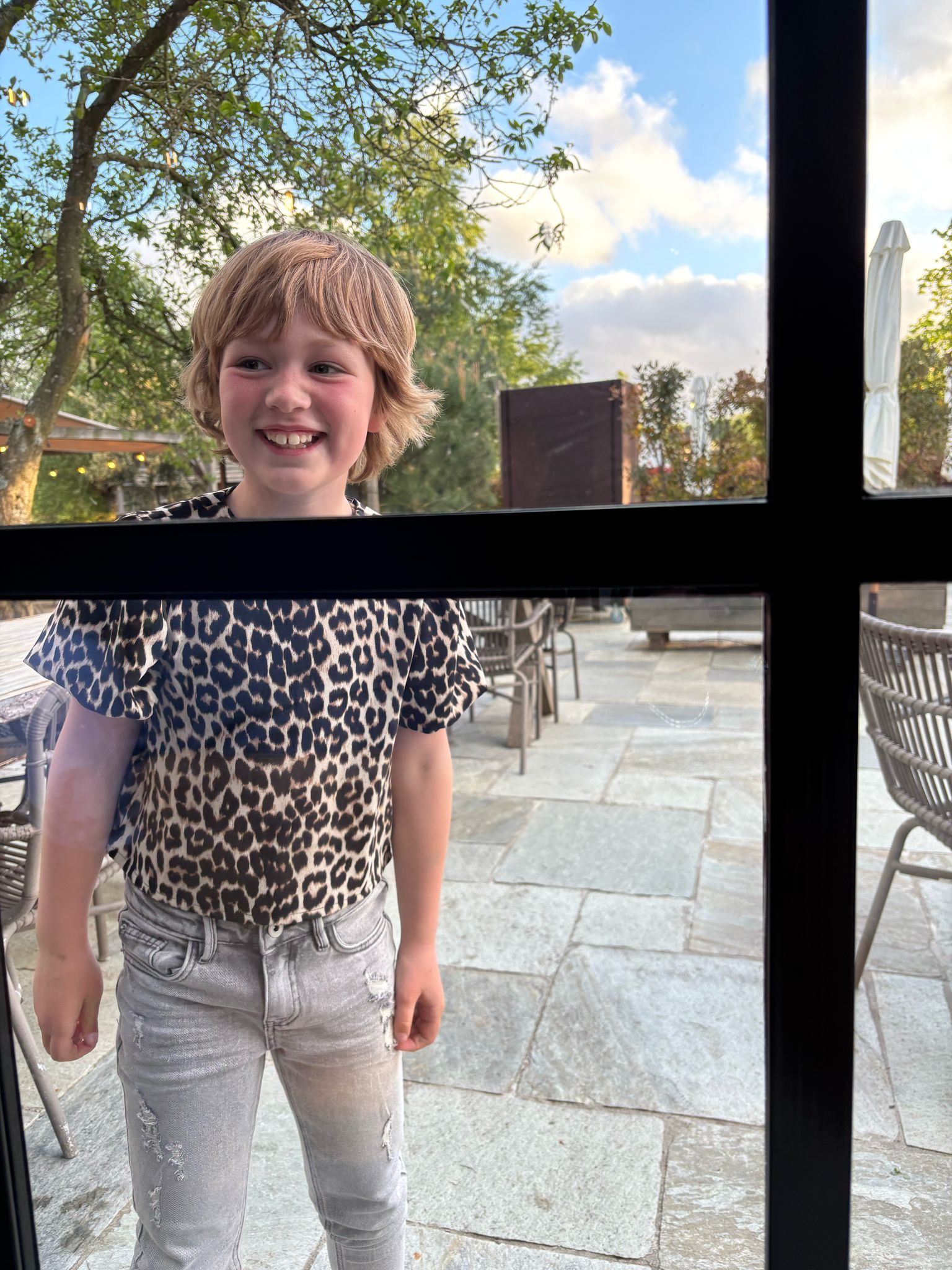 De koetjes redden de schi