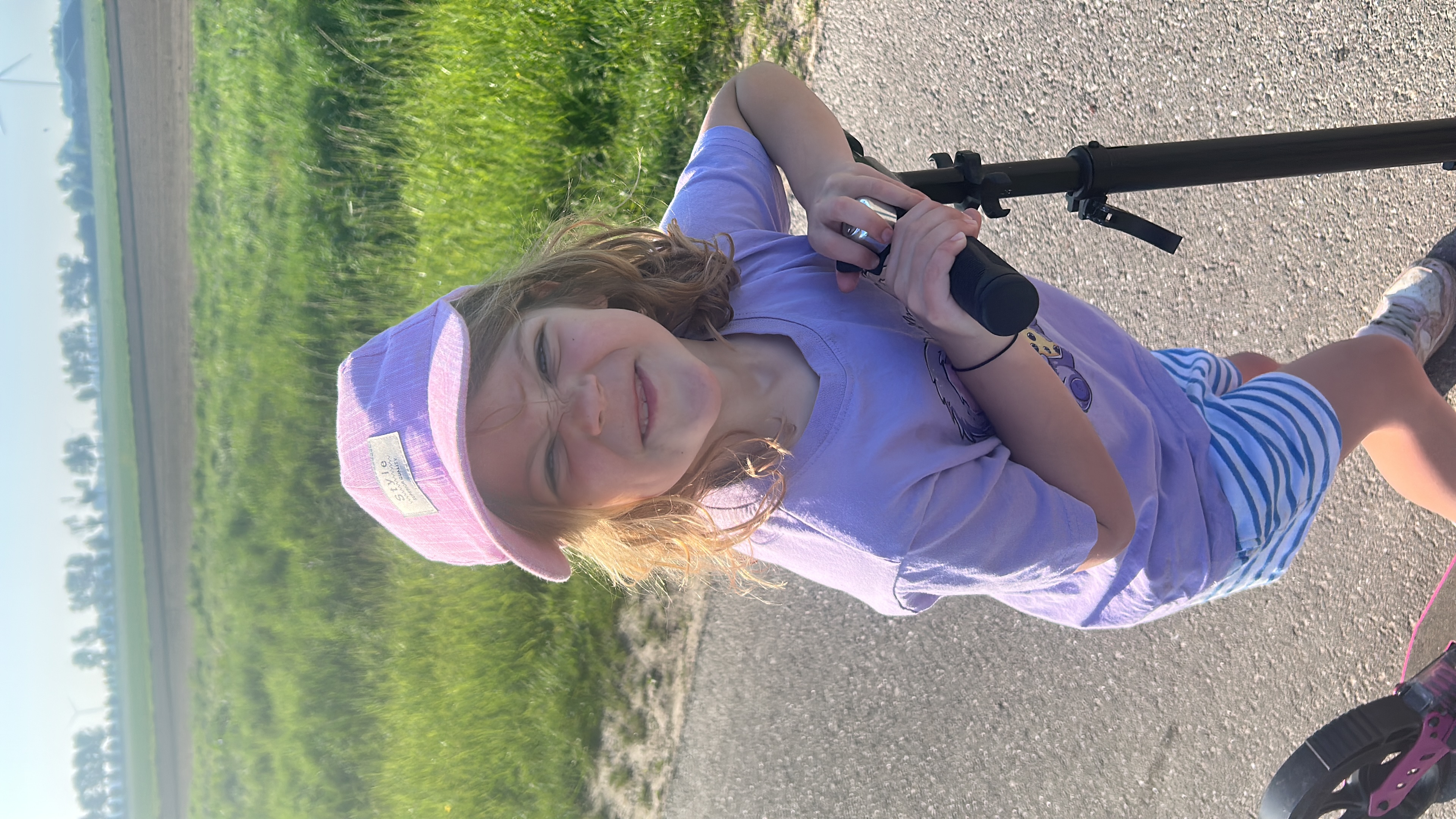 Jinte red de schildpad 