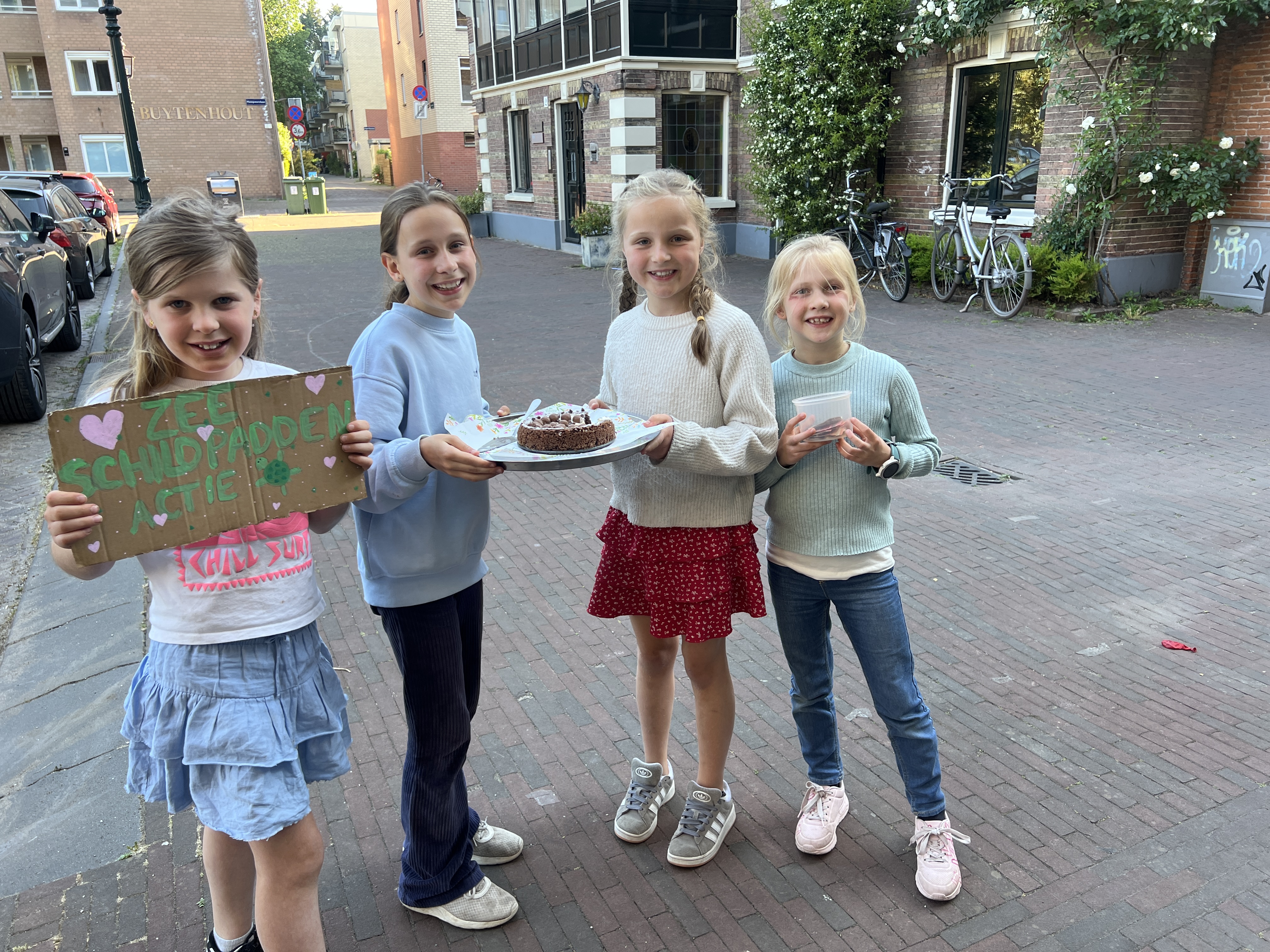 De zeeschildpaddenactie