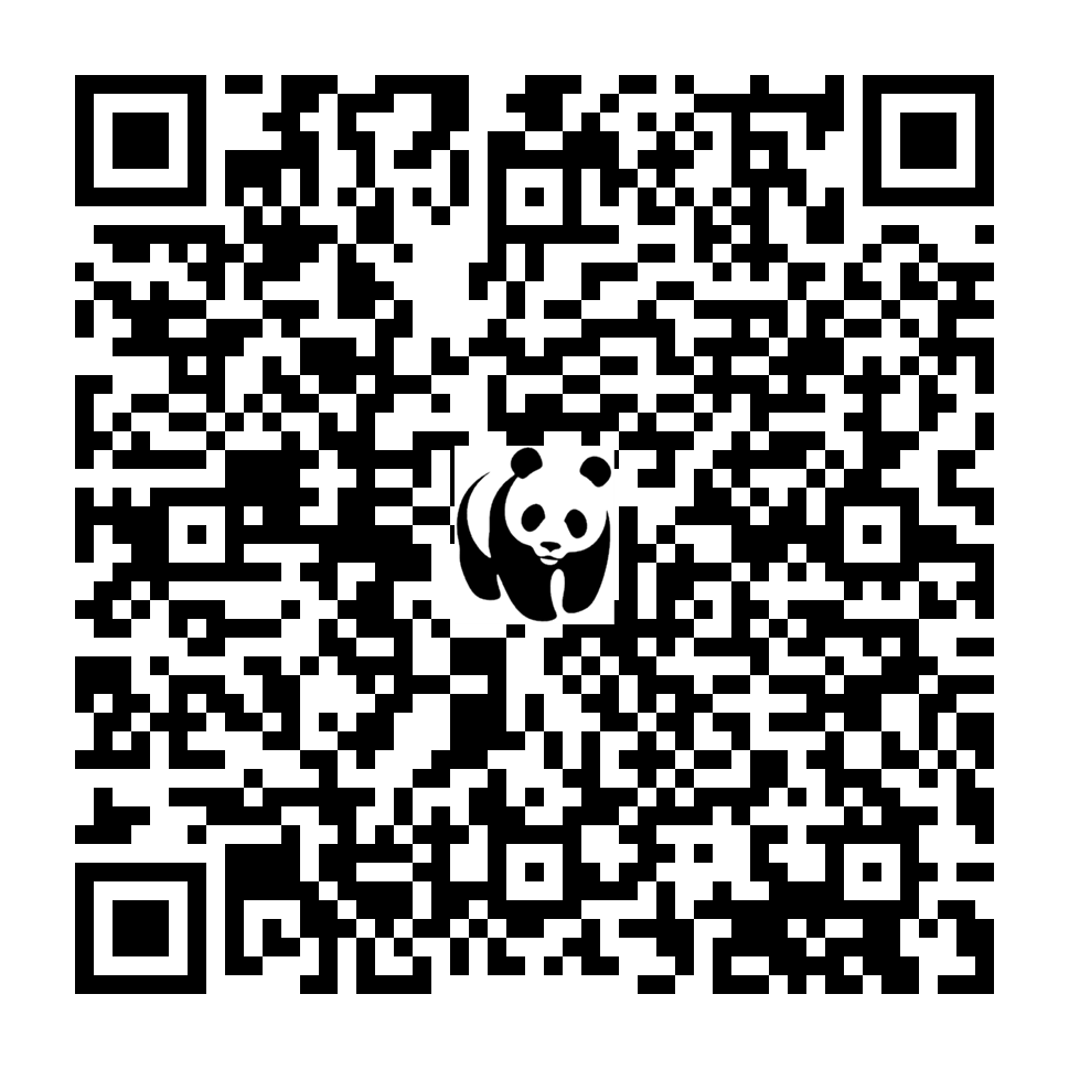 Scan deze QR-code om te doneren (vernieuw de pagina als je geen QR-code ziet)