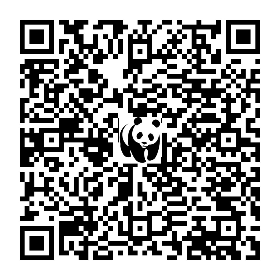 Scan deze QR-code om te doneren (vernieuw de pagina als je geen QR-code ziet)