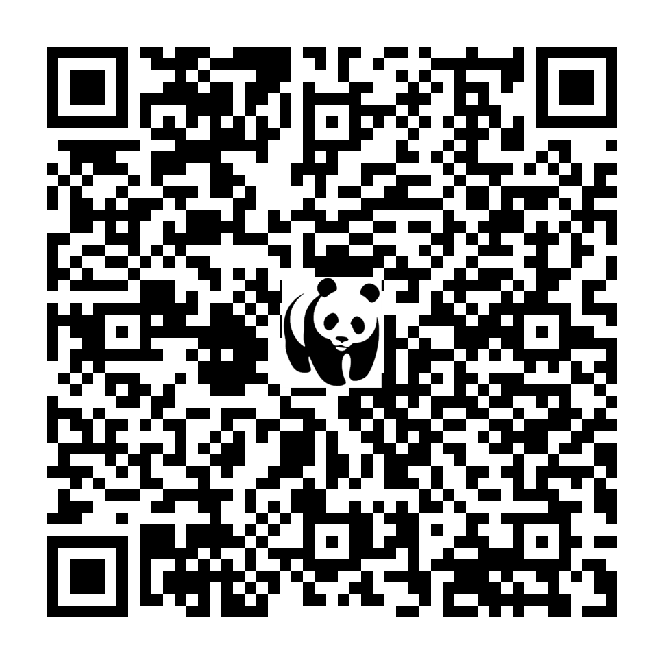 Scan deze QR-code om te doneren (vernieuw de pagina als je geen QR-code ziet)