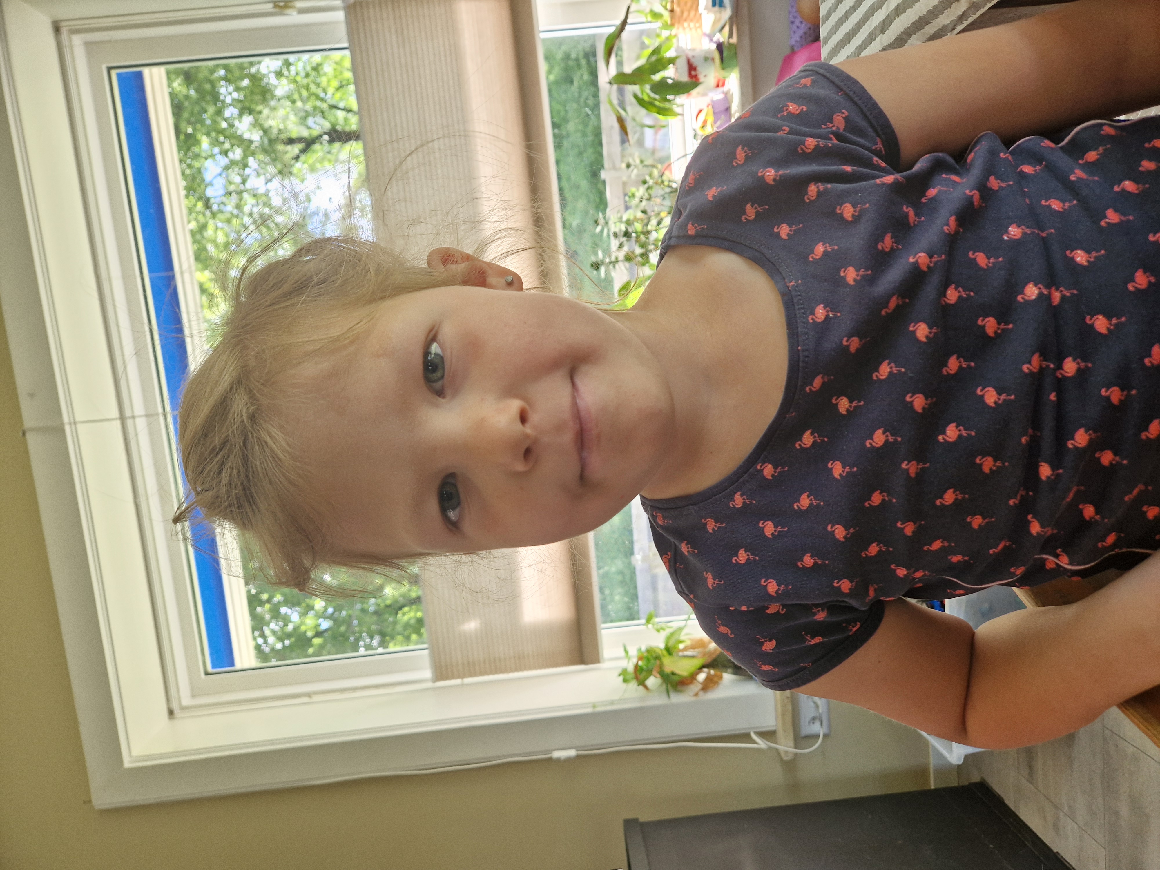 Mega schildpadden actie