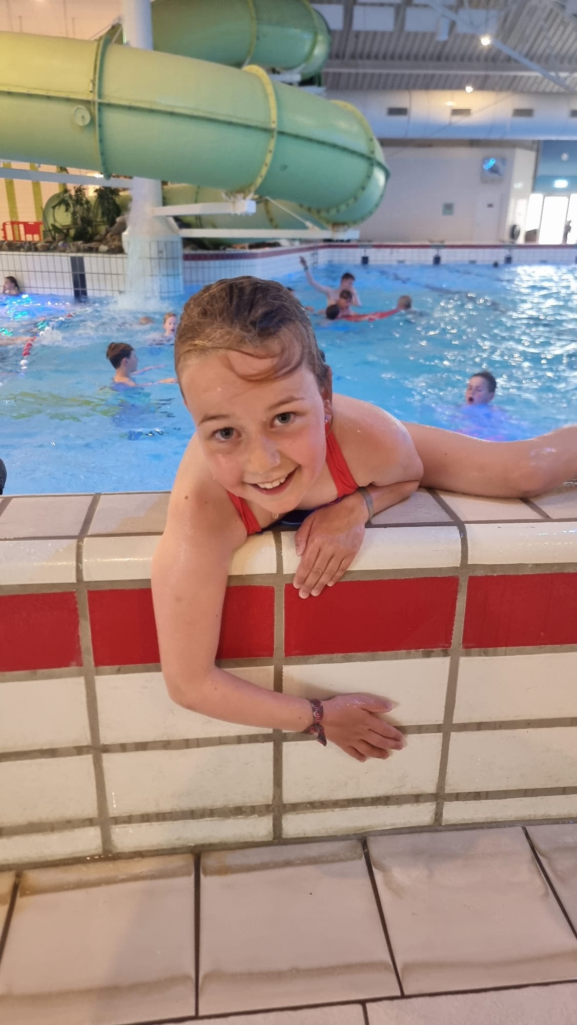 Mirteredtdezeeschildpad