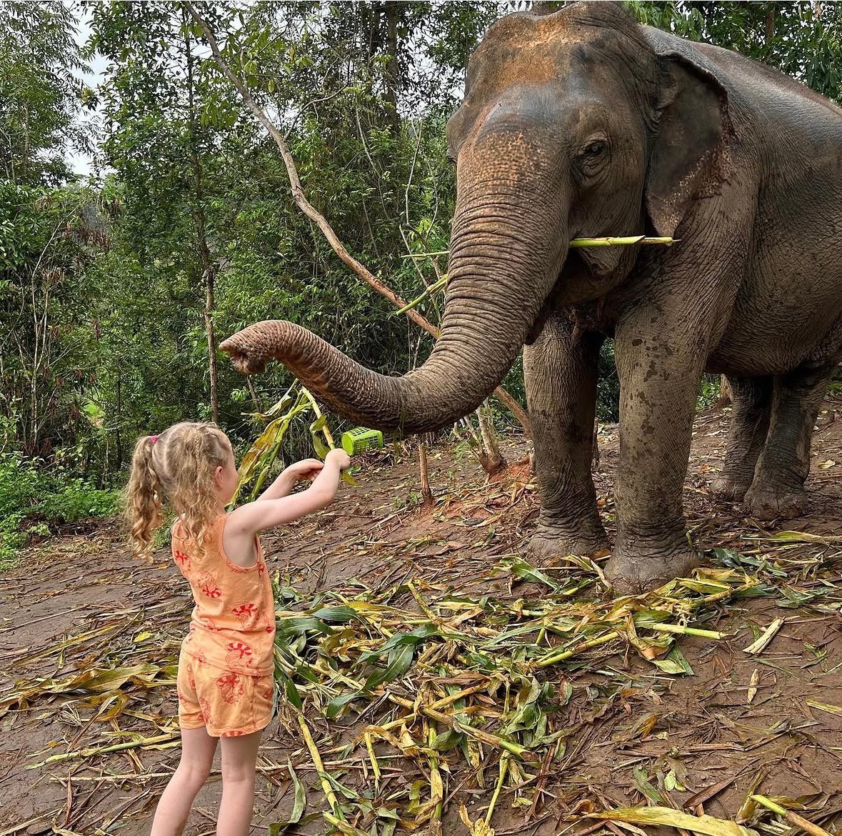 Saar redt de olifanten 