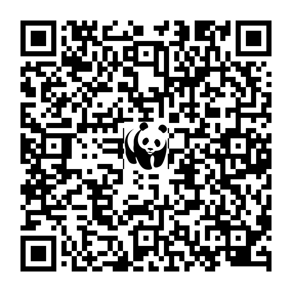 Scan deze QR-code om te doneren (vernieuw de pagina als je geen QR-code ziet)