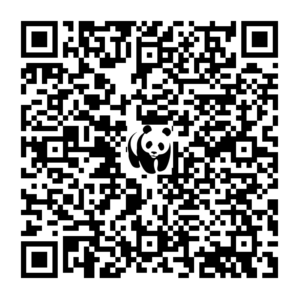 Scan deze QR-code om te doneren (vernieuw de pagina als je geen QR-code ziet)