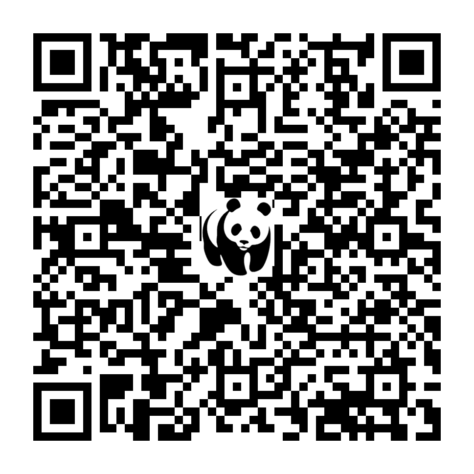 Scan deze QR-code om te doneren (vernieuw de pagina als je geen QR-code ziet)
