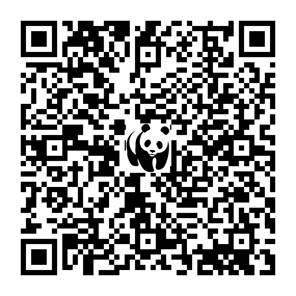 Scan deze QR-code om te doneren (vernieuw de pagina als je geen QR-code ziet)