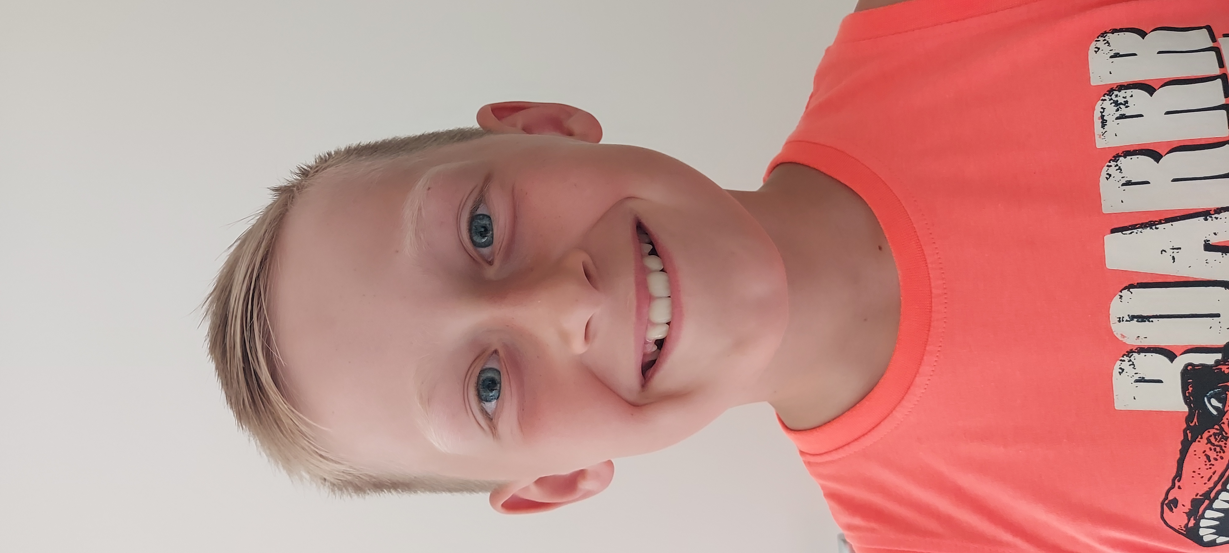 Een voor schildpadden