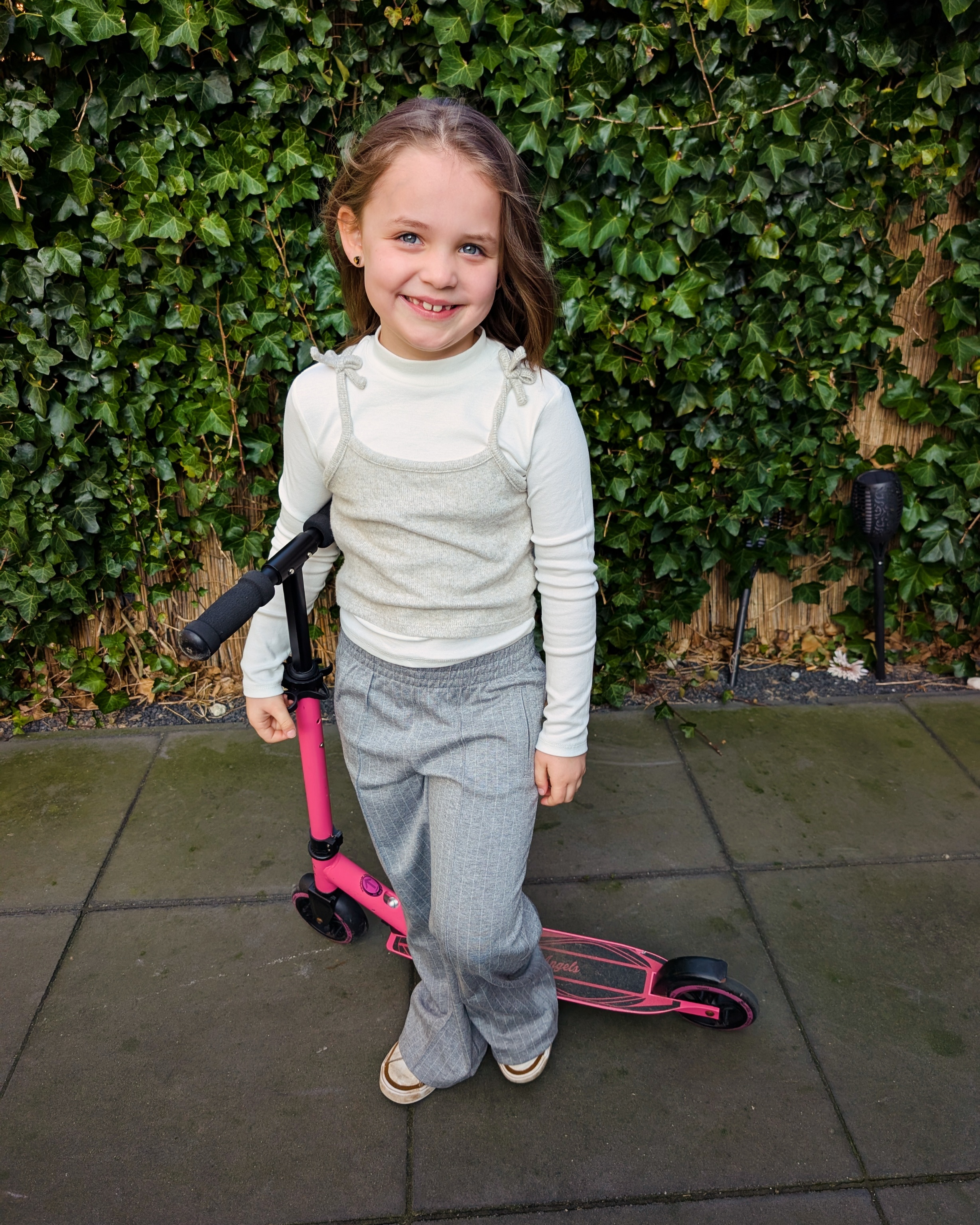 Randi redt schildpadden