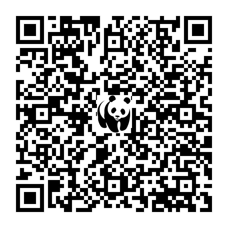 Scan deze QR-code om te doneren (vernieuw de pagina als je geen QR-code ziet)