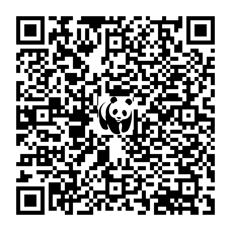 Scan deze QR-code om te doneren (vernieuw de pagina als je geen QR-code ziet)