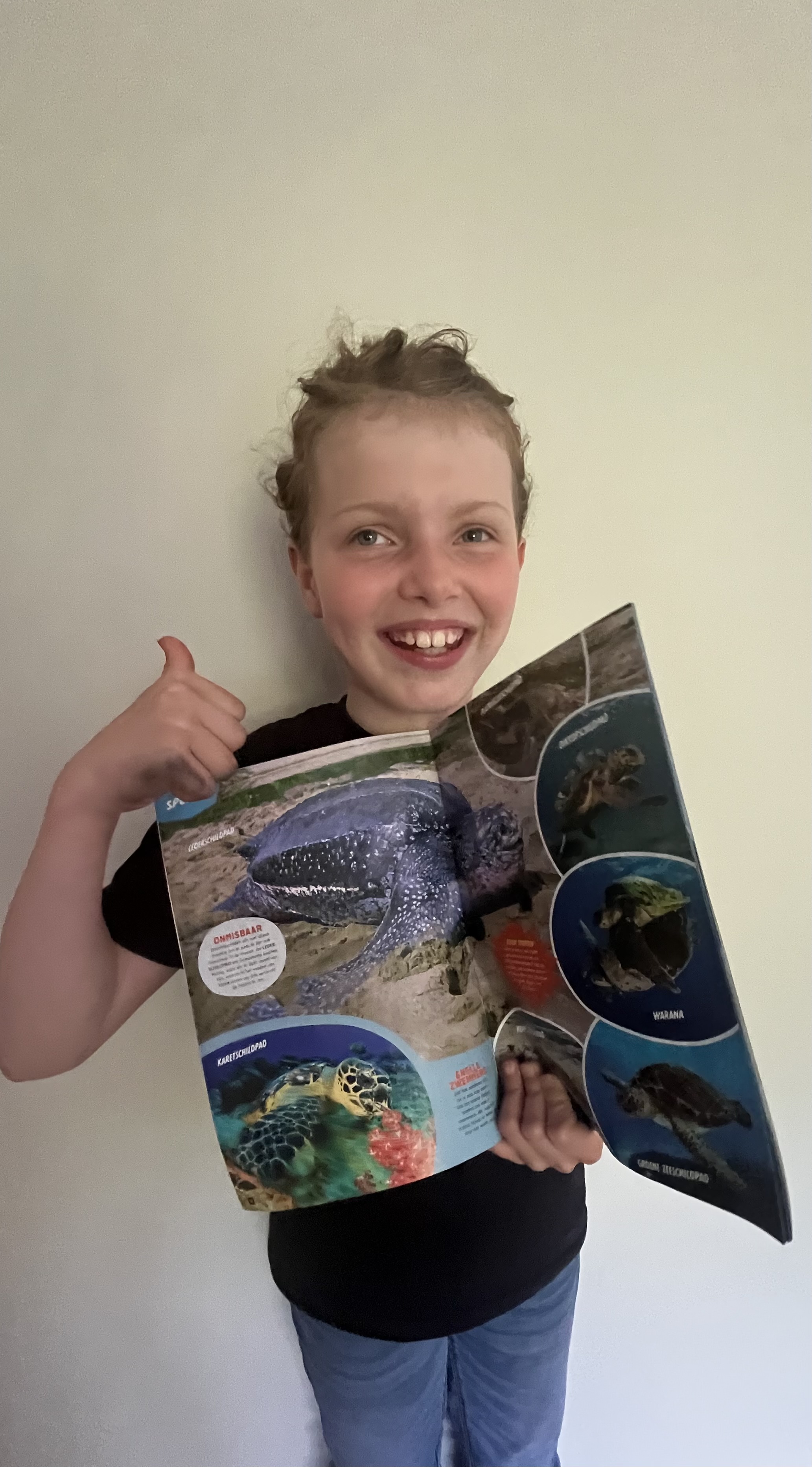 Red de zeeschildpadjes 