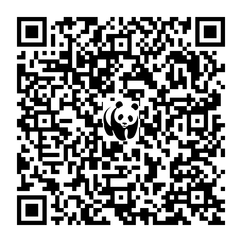 Scan deze QR-code om te doneren (vernieuw de pagina als je geen QR-code ziet)