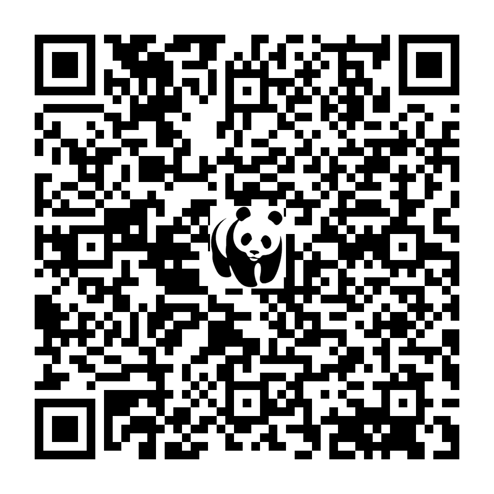 Scan deze QR-code om te doneren (vernieuw de pagina als je geen QR-code ziet)