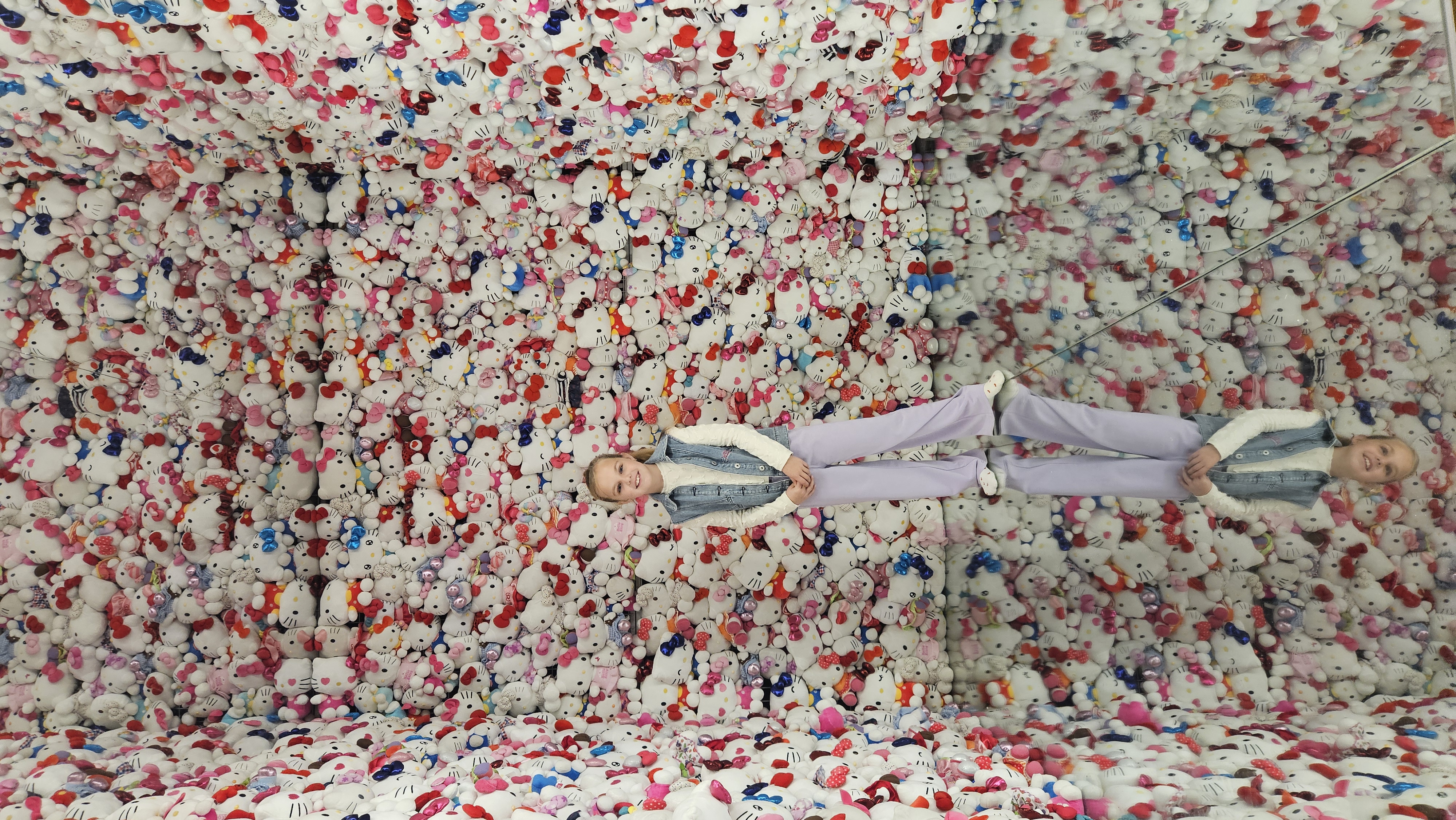 De redder van de olifant