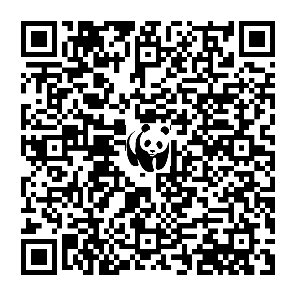 Scan deze QR-code om te doneren (vernieuw de pagina als je geen QR-code ziet)