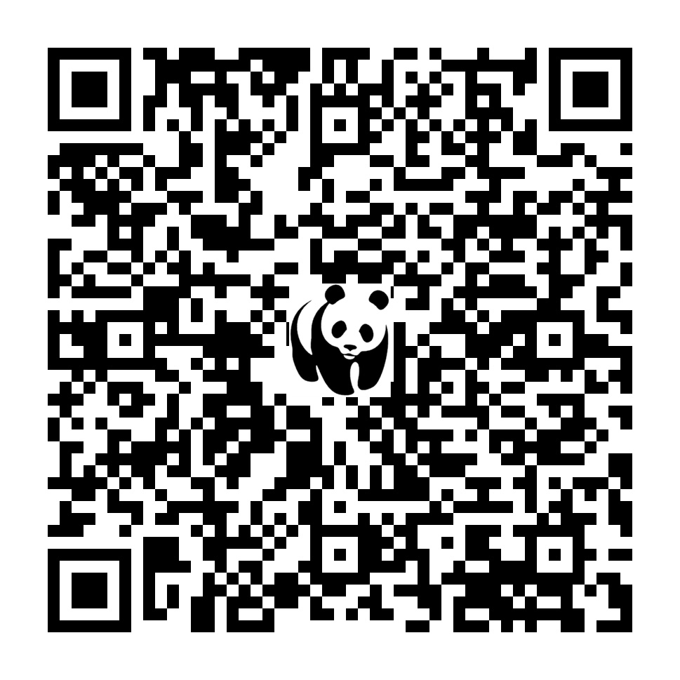 Scan deze QR-code om te doneren (vernieuw de pagina als je geen QR-code ziet)