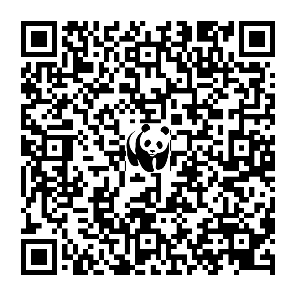 Scan deze QR-code om te doneren (vernieuw de pagina als je geen QR-code ziet)