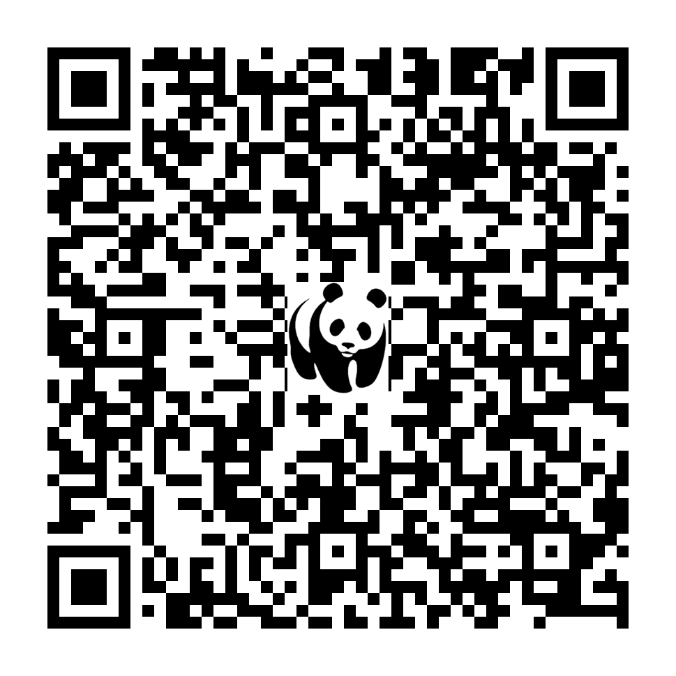 Scan deze QR-code om te doneren (vernieuw de pagina als je geen QR-code ziet)