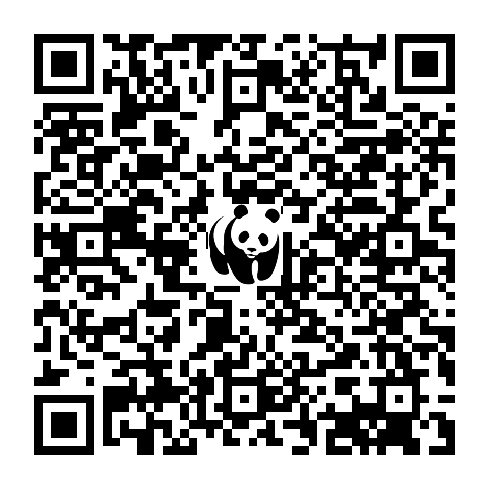 Scan deze QR-code om te doneren (vernieuw de pagina als je geen QR-code ziet)
