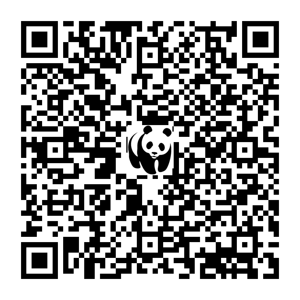 Scan deze QR-code om te doneren (vernieuw de pagina als je geen QR-code ziet)