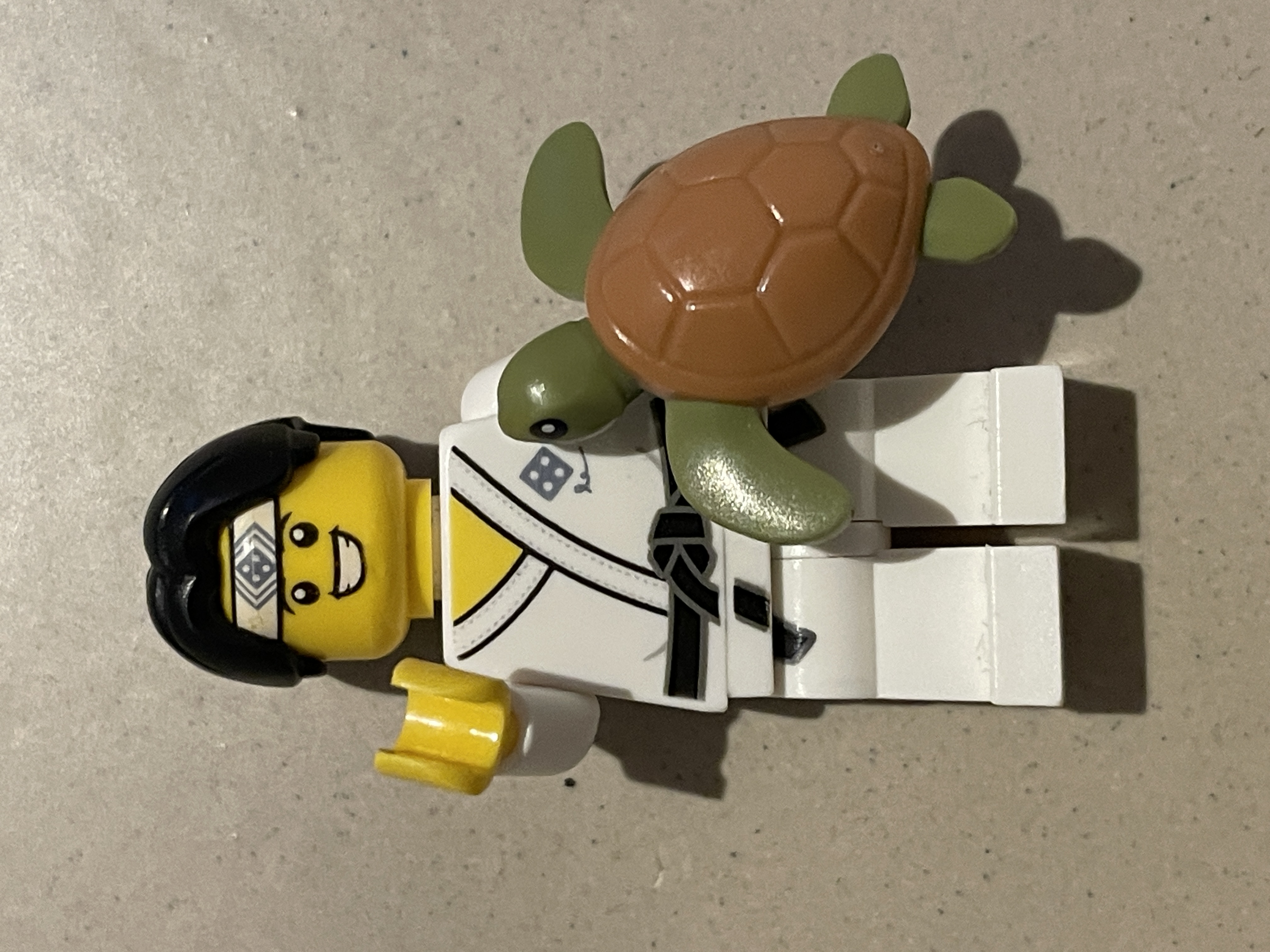 Red de baby schildpadden