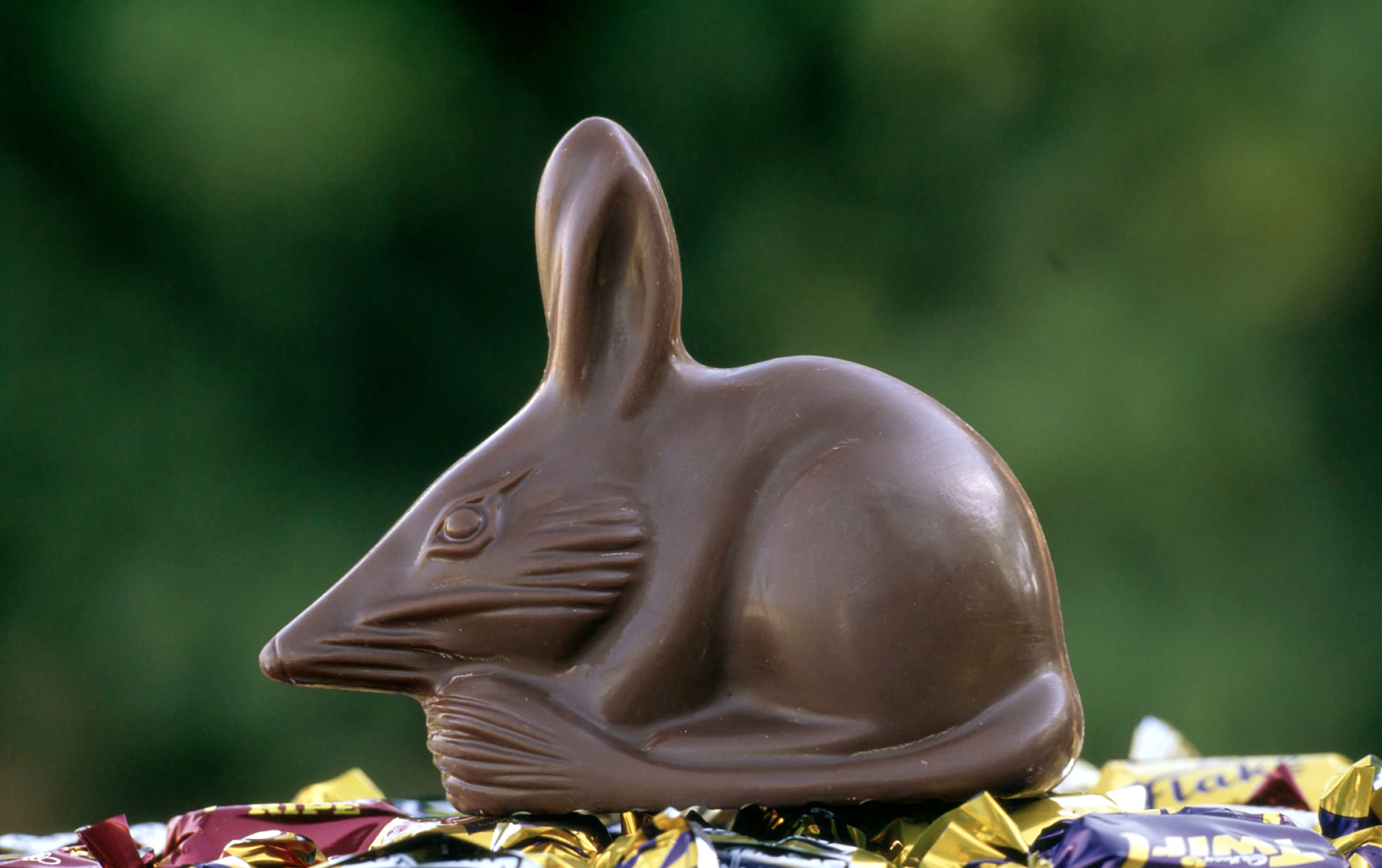 chocolade muis
