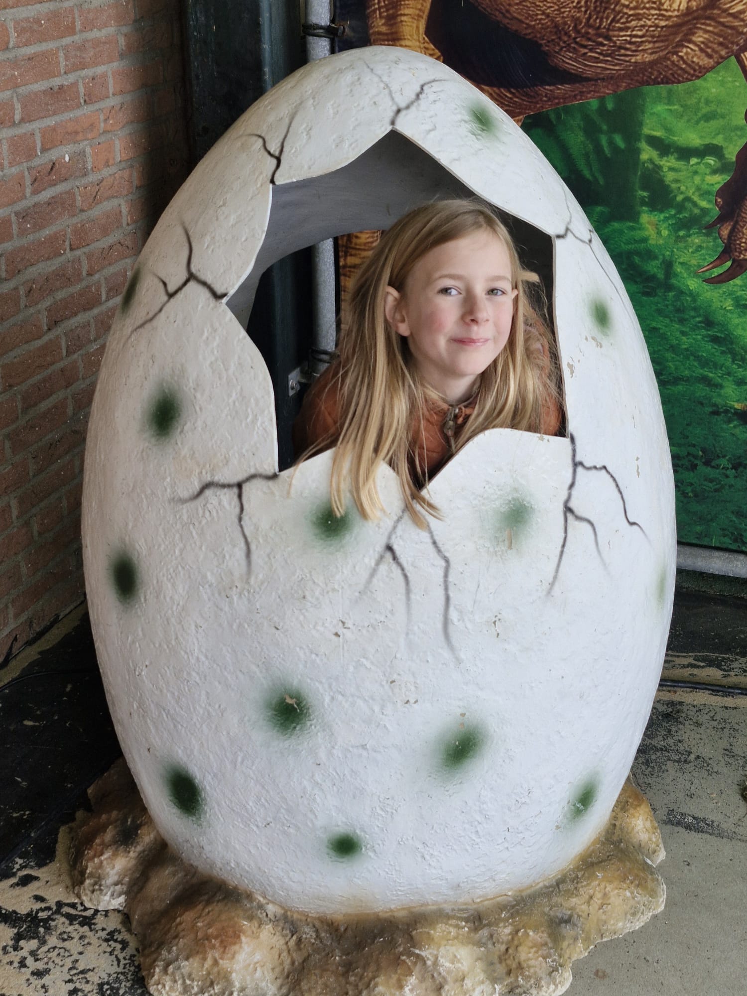 Vieve voor olifanten