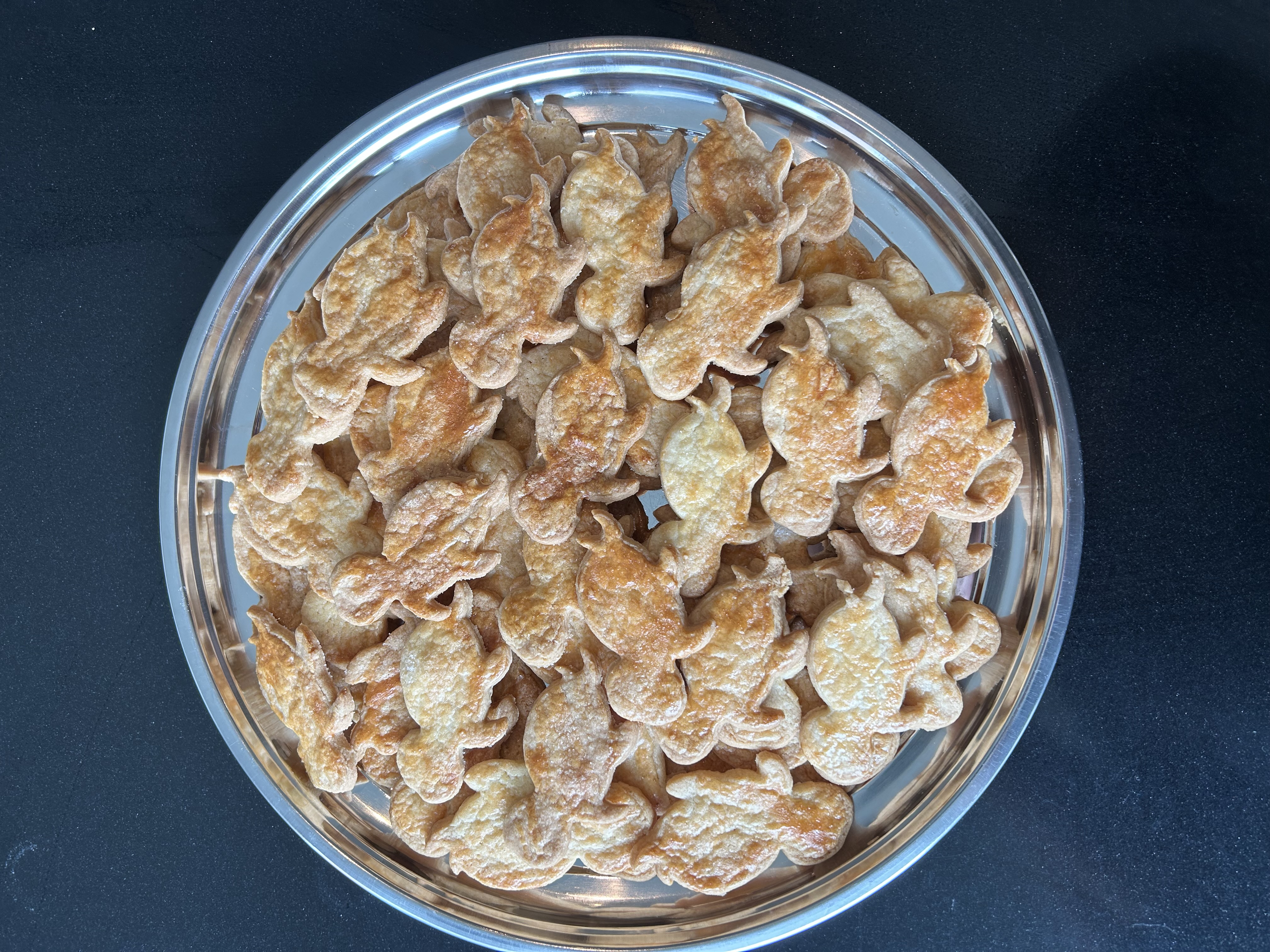 Koekje voor de schildpad