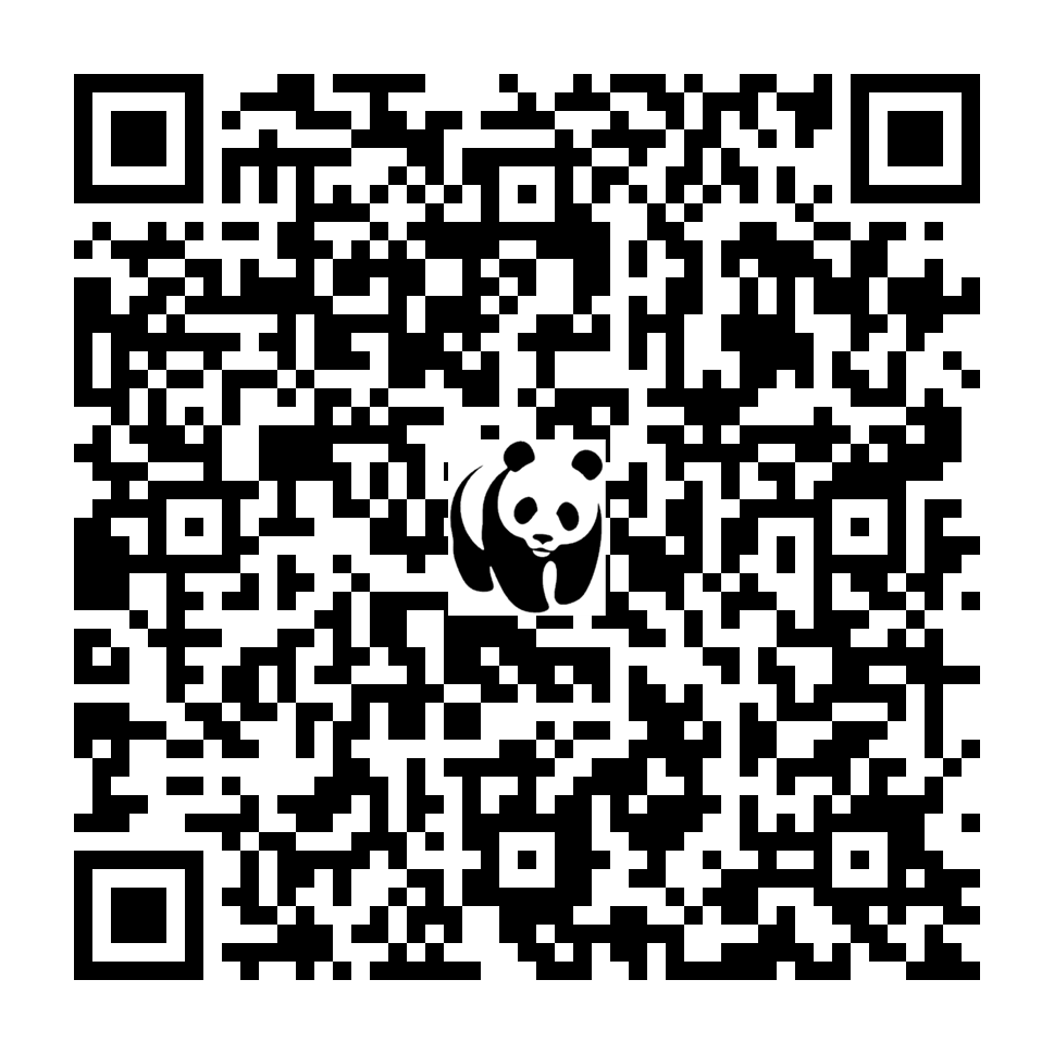 Scan deze QR-code om te doneren (vernieuw de pagina als je geen QR-code ziet)
