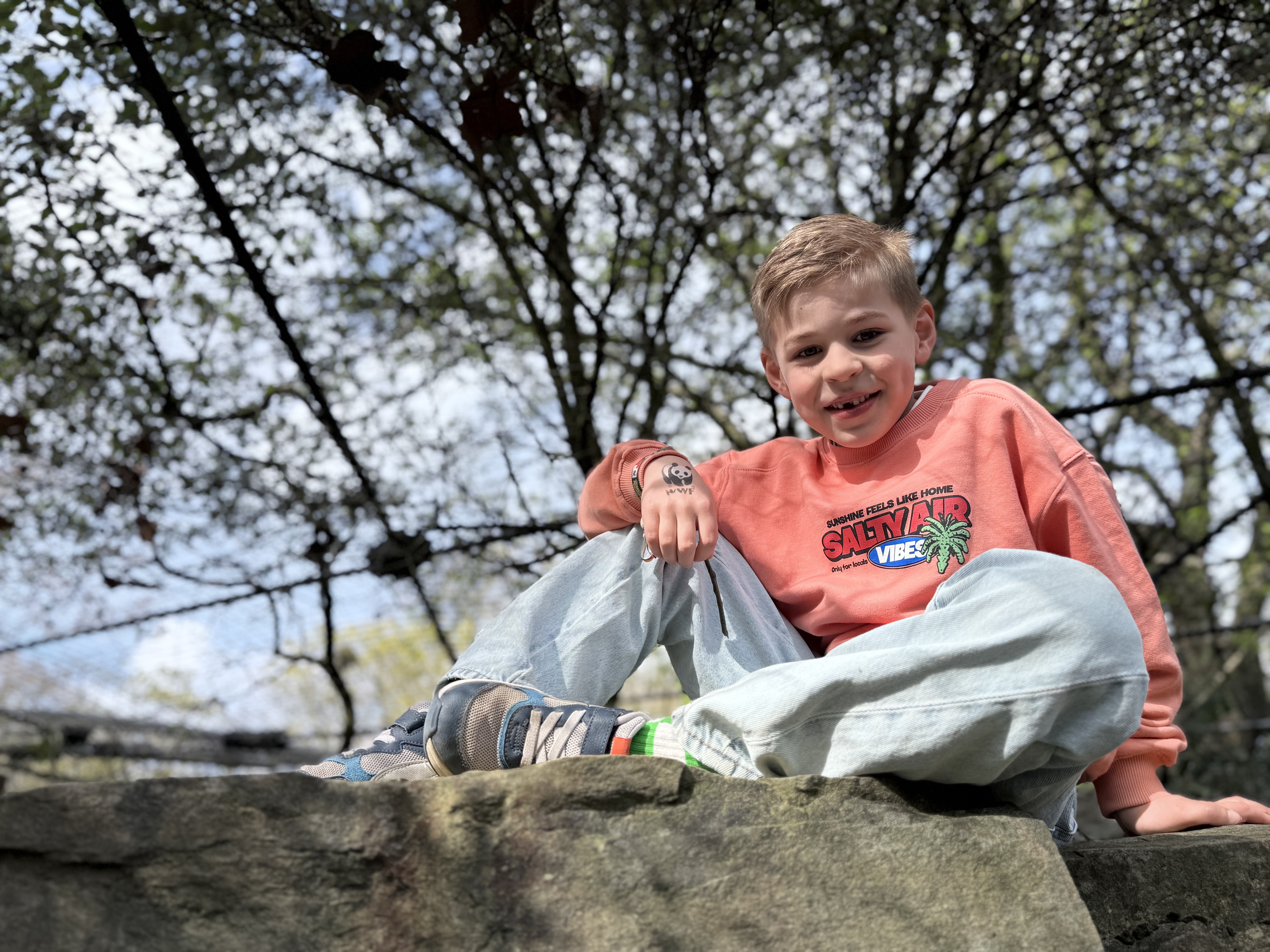 De olifanten Rubiks actie