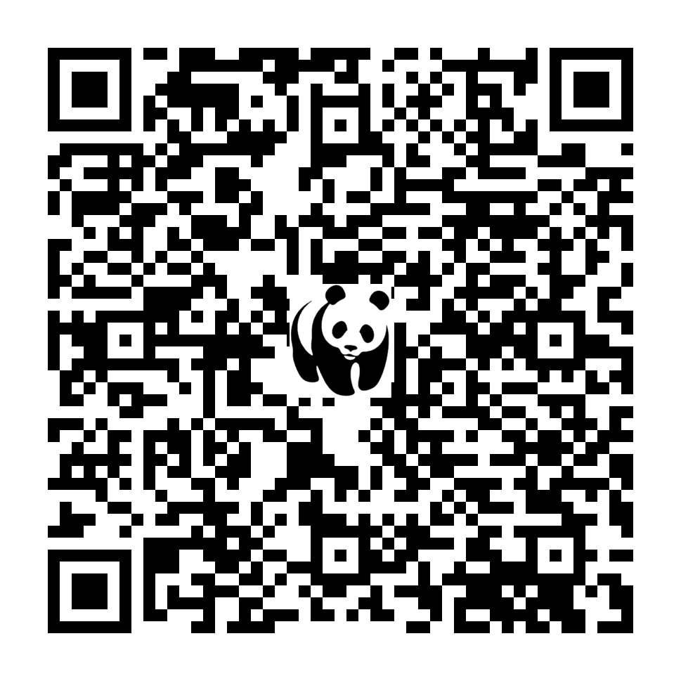 Scan deze QR-code om te doneren (vernieuw de pagina als je geen QR-code ziet)
